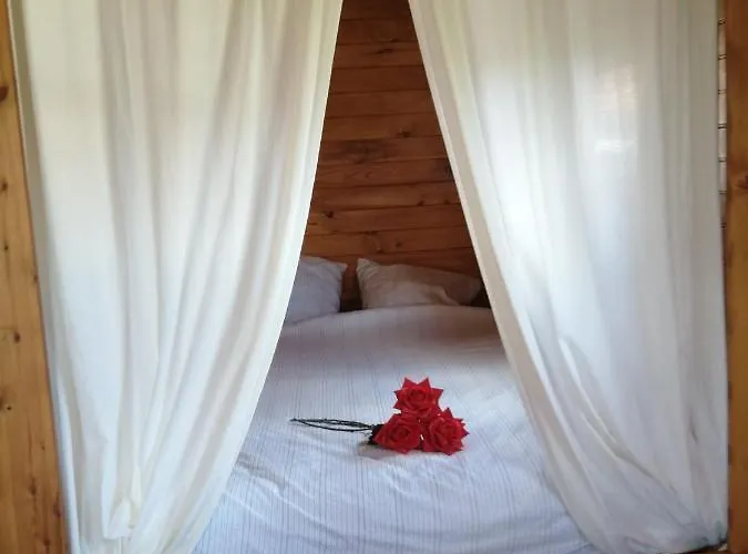 Roulotte Et Jacuzzi Au Domaine Du Reuze Hébergement de vacances *